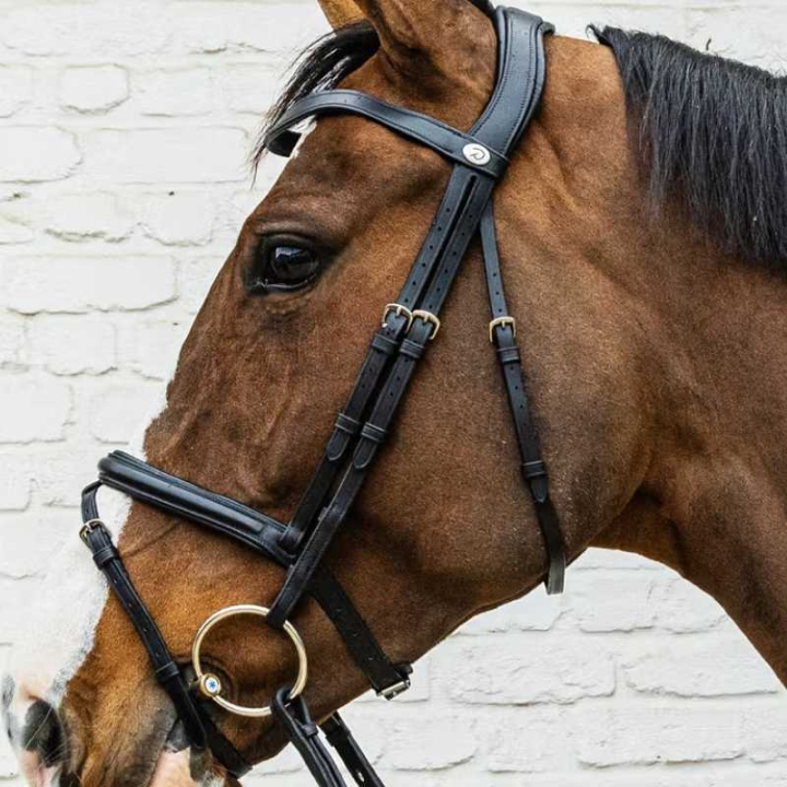 Bridon combiné Soft Collection Noir dans le groupe Équipement cheval / Briderie & Frontaux / Brides chez Equinest (SO1000101BA_r)