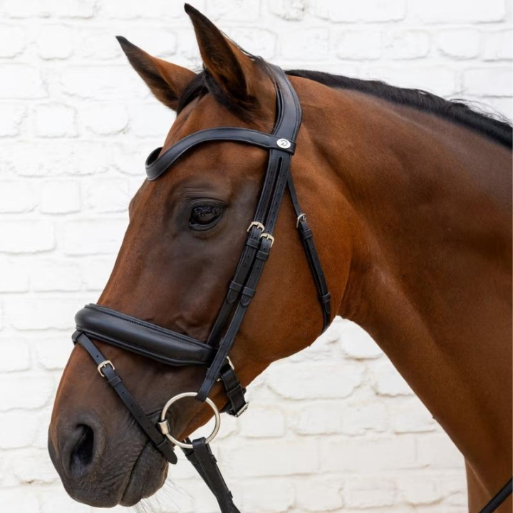 Bridon de dressage Medium Muserolle Soft Collection Noir dans le groupe Équipement cheval / Briderie & Frontaux / Brides et brides de dressage chez Equinest (SO1000201BA_r)