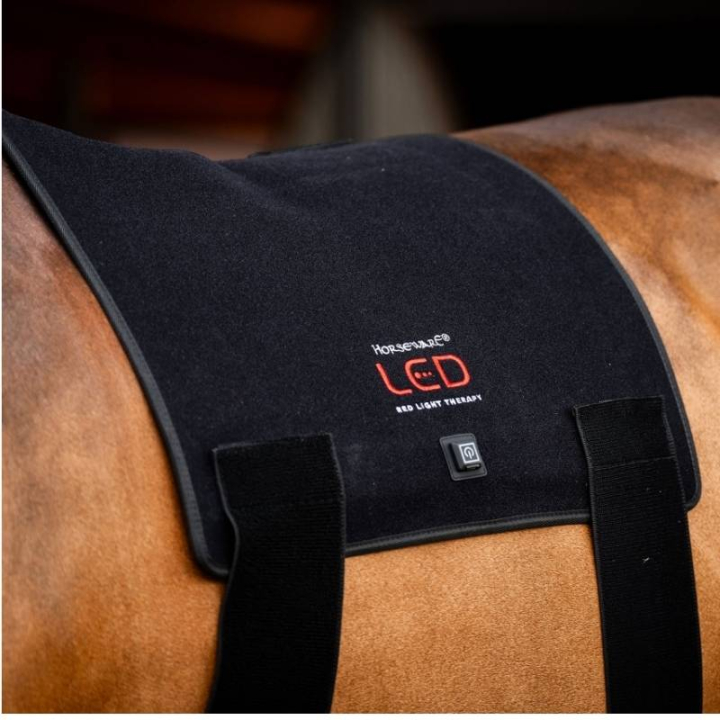 Coussin thérapeutique LED Red Light Therapy Noir  dans le groupe Produits de soins / Massage & Circulation sanguine chez Equinest (TLHBT1KK0BA-FU)