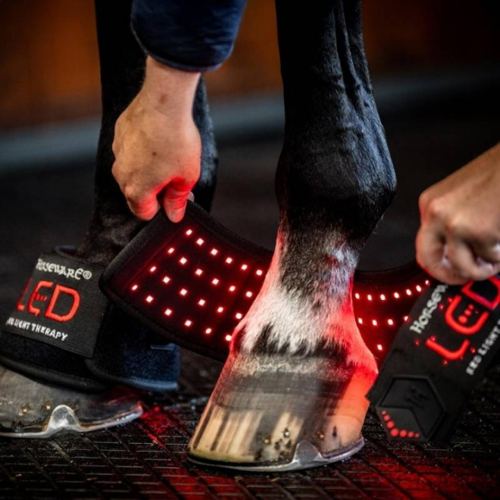 Cloches LED Red Light Therapy Noir dans le groupe Produits de soins / Massage & Circulation sanguine chez Equinest (TLHMT1KK0BA)