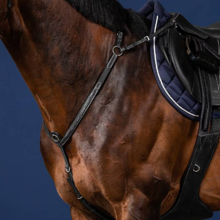 Collier de chasse avec pont US Collection Noir dans le groupe Équipement cheval / Martingales & Enrênements / Colliers de chasse chez Equinest (US06DBLCBA_r)