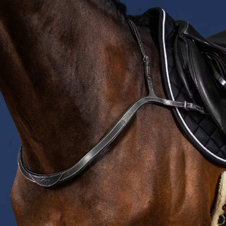 Collier de chasse Collar US Collection Noir dans le groupe Équipement cheval / Martingales & Enrênements / Colliers de chasse chez Equinest (US06EBLCBA_r)