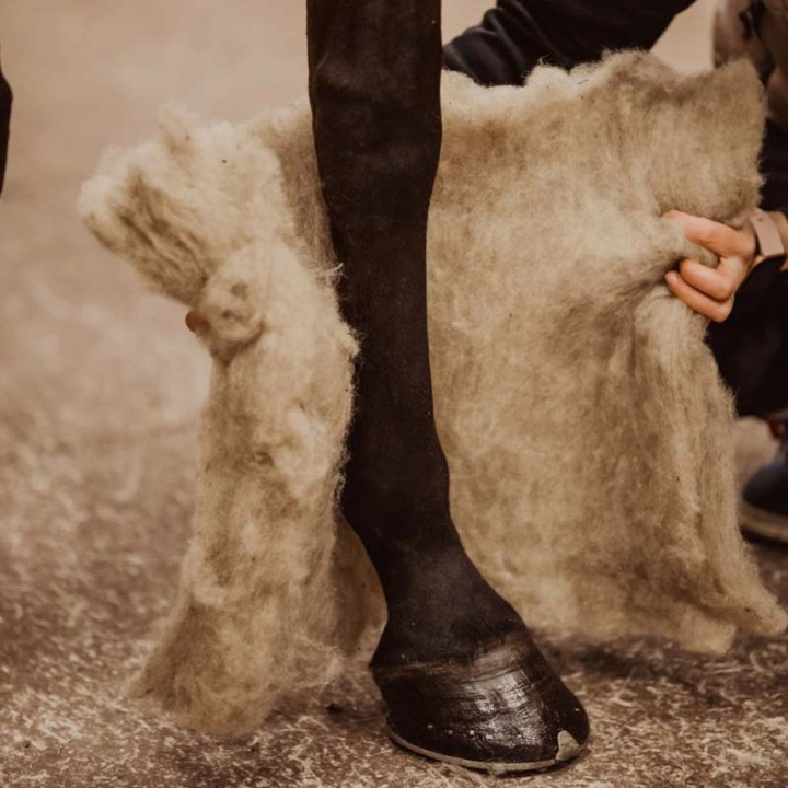 Coussins en laine Wool Care Nature dans le groupe Produits de soins / Massage & Circulation sanguine chez Equinest (V900NE)