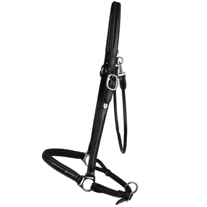 Halter de toilettage Leather WBD Noir dans le groupe Équipement cheval / Licols / Longes en cuir chez Equinest (WO09BBLCBA_r)
