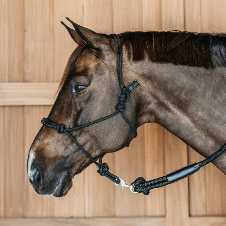 Halter en corde Training WBD Noir dans le groupe Équipement cheval / Licols / Longes en corde chez Equinest (WO09CBLCBA_r)