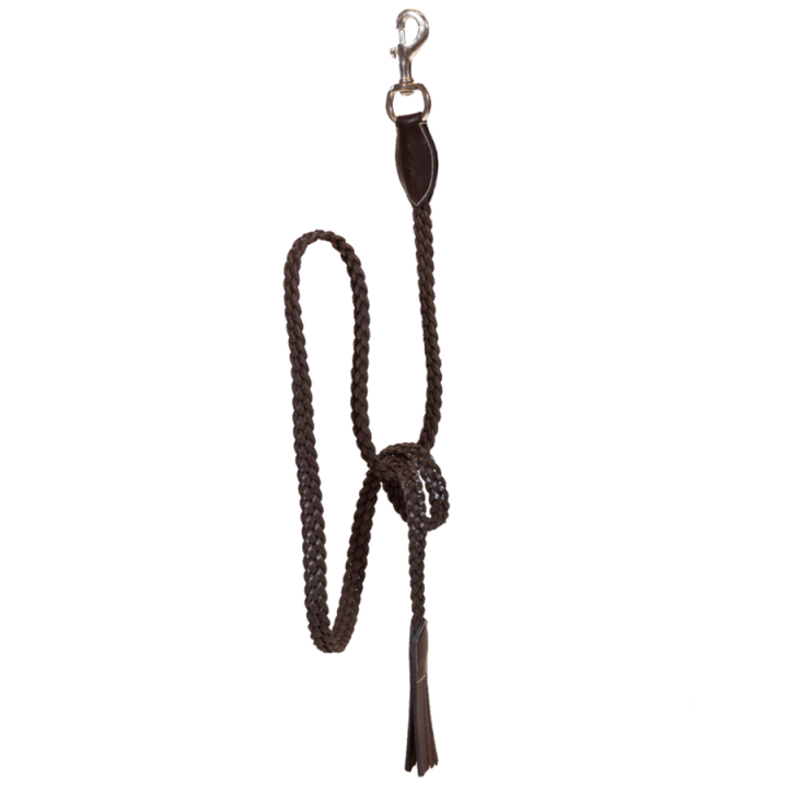 Halter en cuir Plaited WBD Marron dans le groupe Équipement cheval / Longes et longes de transport / Longes de transport en cuir chez Equinest (WO10EBRBR)