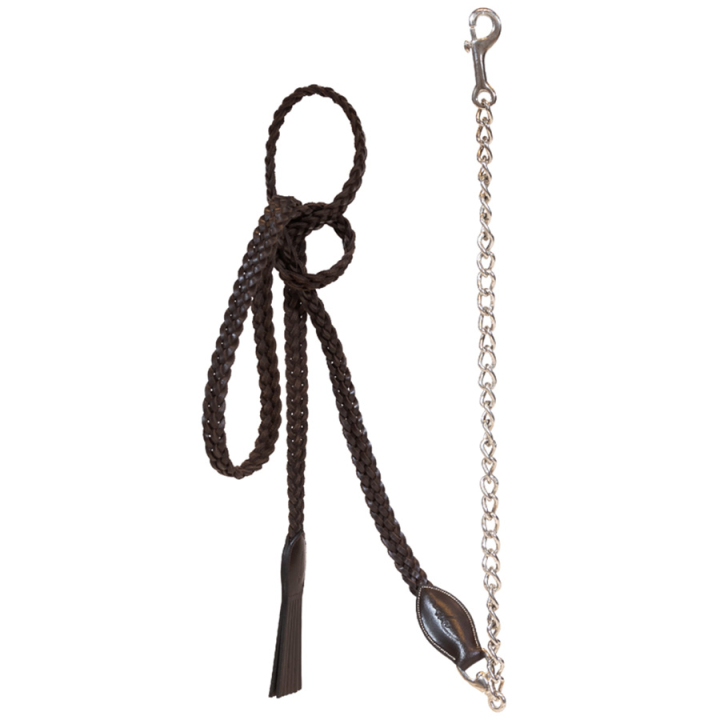 Halter à chaîne Plaited Leather WBD Marron dans le groupe Équipement cheval / Longes et longes de transport / Longes à chaînes chez Equinest (WO10FBRBR)