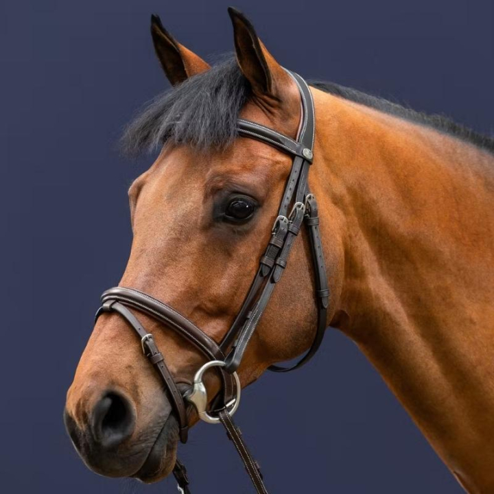 Bridon combiné classique WC Marron dans le groupe Équipement cheval / Briderie & Frontaux / Brides chez Equinest (WOAAHLBr_r)