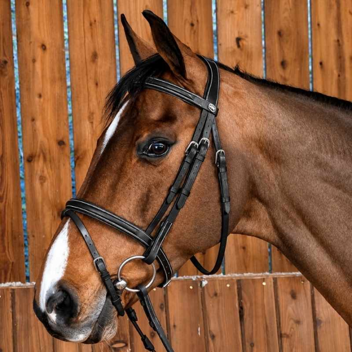 Bridon combiné classique WC Noir dans le groupe Équipement cheval / Briderie & Frontaux / Brides chez Equinest (WOAAHLSv_r)