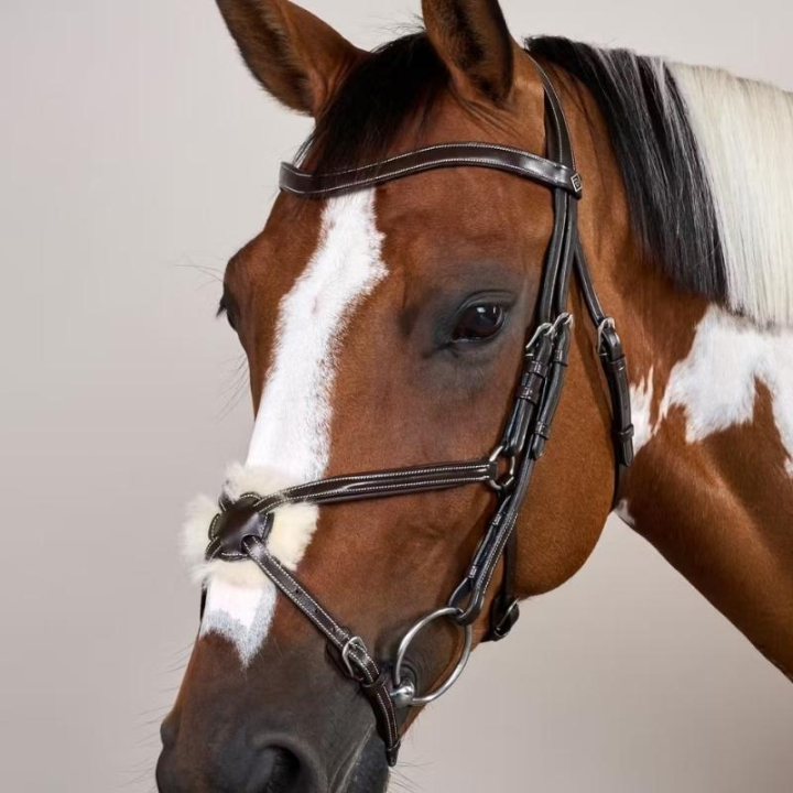 Bridon Mexicain avec muserolle WC marron dans le groupe Équipement cheval / Briderie & Frontaux / Brides chez Equinest (WOAQHCBr_r)