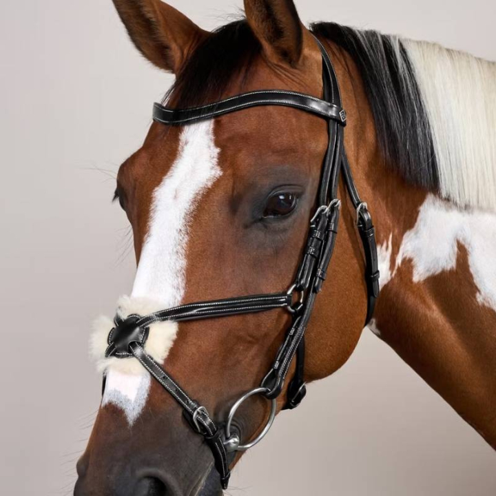 Bridon Mexicain avec muserolle WC noir dans le groupe Équipement cheval / Briderie & Frontaux / Brides chez Equinest (WOAQHCSv_r)