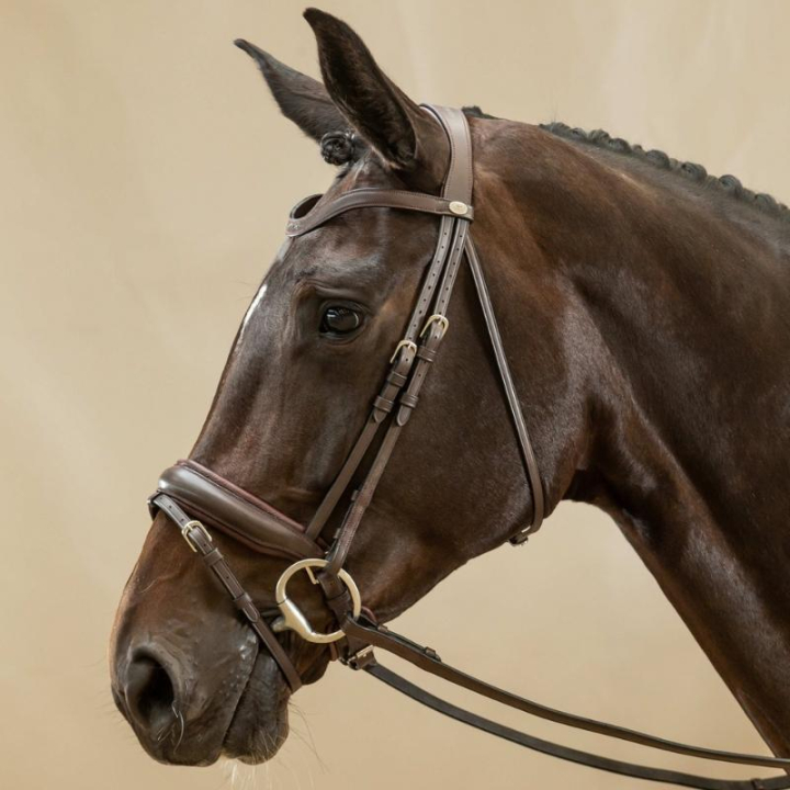 Bridon de dressage Mate Working Collection Marron dans le groupe Équipement cheval / Briderie & Frontaux / Brides et brides de dressage chez Equinest (WODCAMBRCBR_r)