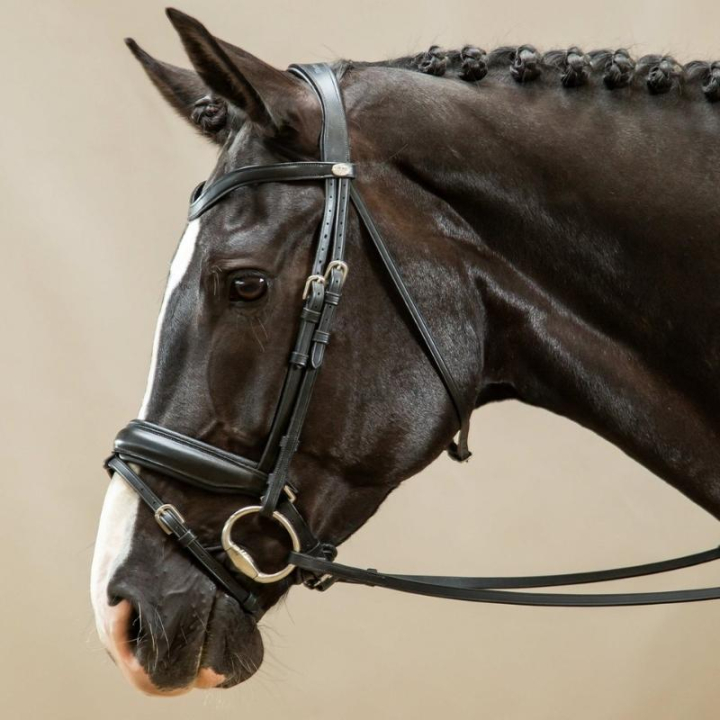 Bride de dressage Mate Working Collection Noir dans le groupe Équipement cheval / Briderie & Frontaux / Brides et brides de dressage chez Equinest (WODCAMSv_r)