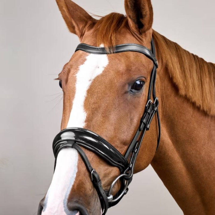 Bride de dressage Vernie WC Noir dans le groupe Équipement cheval / Briderie & Frontaux / Brides et brides de dressage chez Equinest (WODCANSv_r)