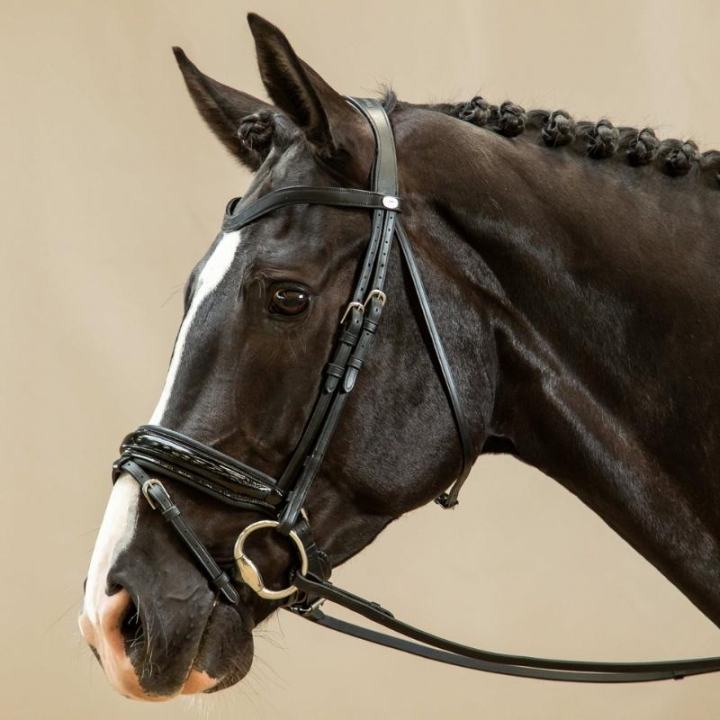 Bride de dressage Vernie Working Collection Noir dans le groupe Équipement cheval / Briderie & Frontaux / Brides et brides de dressage chez Equinest (WODCANSv_r)