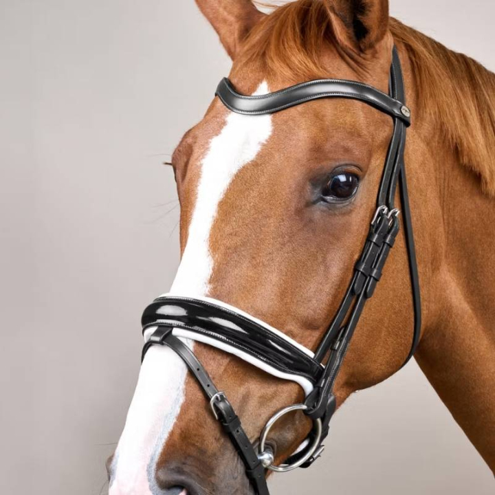 Bride de dressage Vernie/Doublée Blanc WC Noir dans le groupe Équipement cheval / Briderie & Frontaux / Brides et brides de dressage chez Equinest (WODCAOSv_r)
