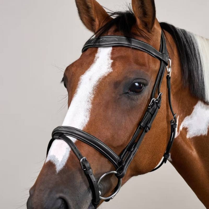 Bridon combiné WC Noir dans le groupe Équipement cheval / Briderie & Frontaux / Brides chez Equinest (WOJBHASv_r)