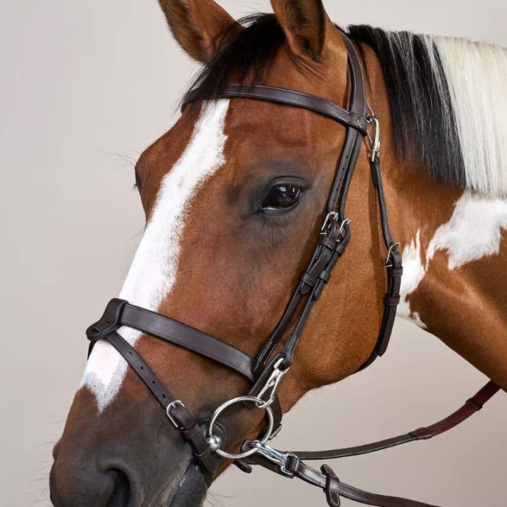 Bridon sans muserolle lisse WC marron dans le groupe Équipement cheval / Briderie & Frontaux / Brides chez Equinest (WOJOGJBr_r)