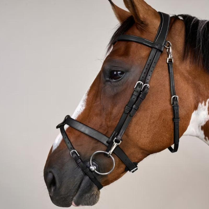 Bridon sans muserolle lisse WC noir dans le groupe Équipement cheval / Briderie & Frontaux / Brides chez Equinest (WOJOGJSv_r)