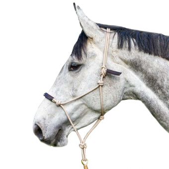 Longe LCC Naturel/Brun