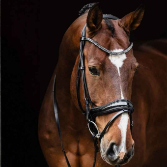 Bridon de dressage vernie Isabell Werth Satchmo Noir