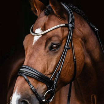 Bridon de dressage Isabell Werth Satchmo Noir