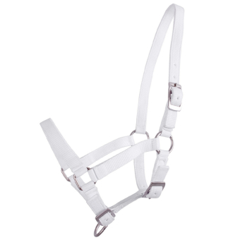 Harnais pour poulain Adjustable Blanc
