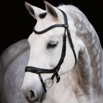 Bridon Equitus Alpha Noir