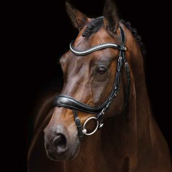 Bridon Equitus Beta Noir