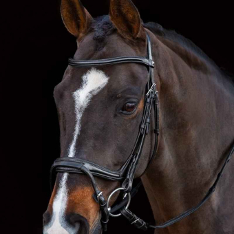Bridon Ancona Select Noir
