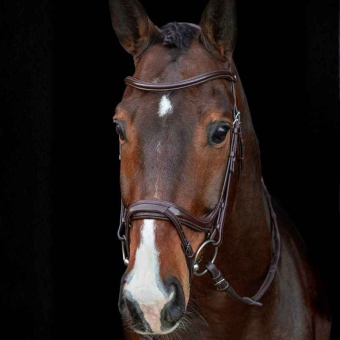 Bridon Ancona Select Marron