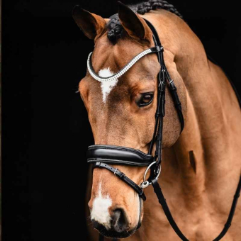 Bridon de dressage Valencia Noir