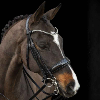 Bride de dressage Milazzo Noir