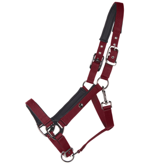 Licol Deluxe Bordeaux