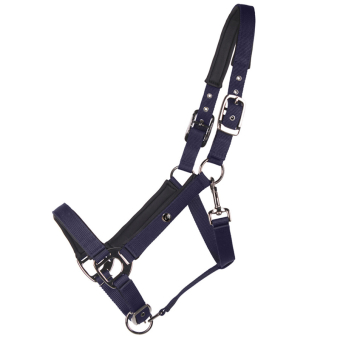 Licol Deluxe Bleu Marine