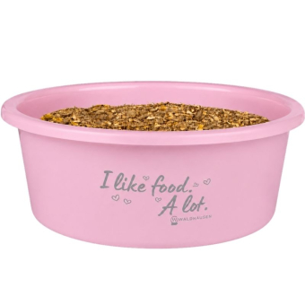 Gamelle avec couvercle XL 8L Rose 