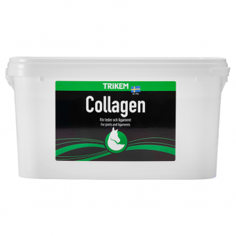 Collagen 3000g