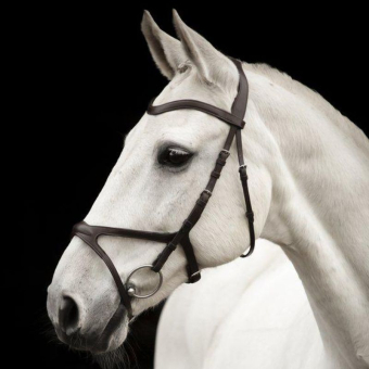 Bridon Arthur Marron
