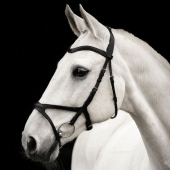 Bridon Arthur Noir