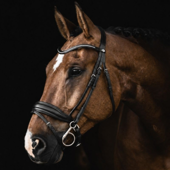 Bride de dressage Integro Noir