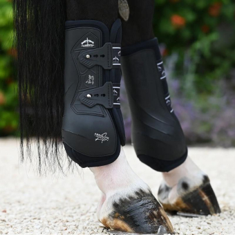 Guêtres de dressage arrière élastique Absolute Noir