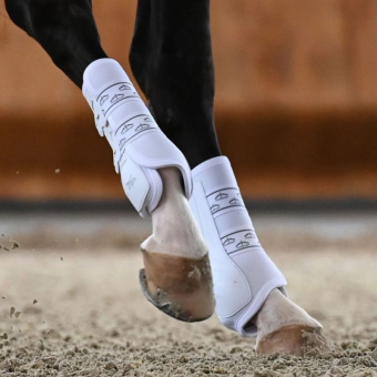 Guêtres de dressage arrière élastique Absolute Blanc