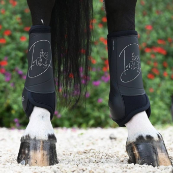 Guêtres de dressage arrière velcro Absolute Noir