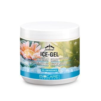 Gel Ice 500ml