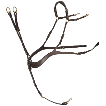 Sangle anatomique avec martingale Chocolate/Or