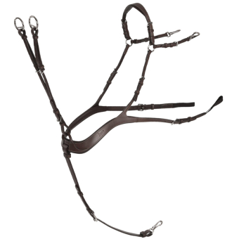 Sangle anatomique avec martingale Chocolate/Argent