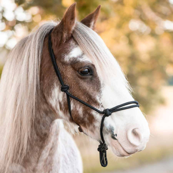 Halter en corde Polypropylene Noir