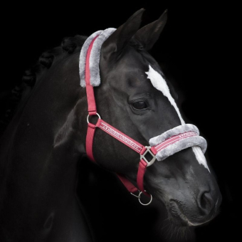 Licol avec Mouton Rouge/Gris