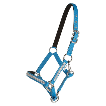 Licol Mini Strass Bleu