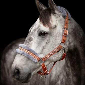 Licol avec Mouton Orange/Gris